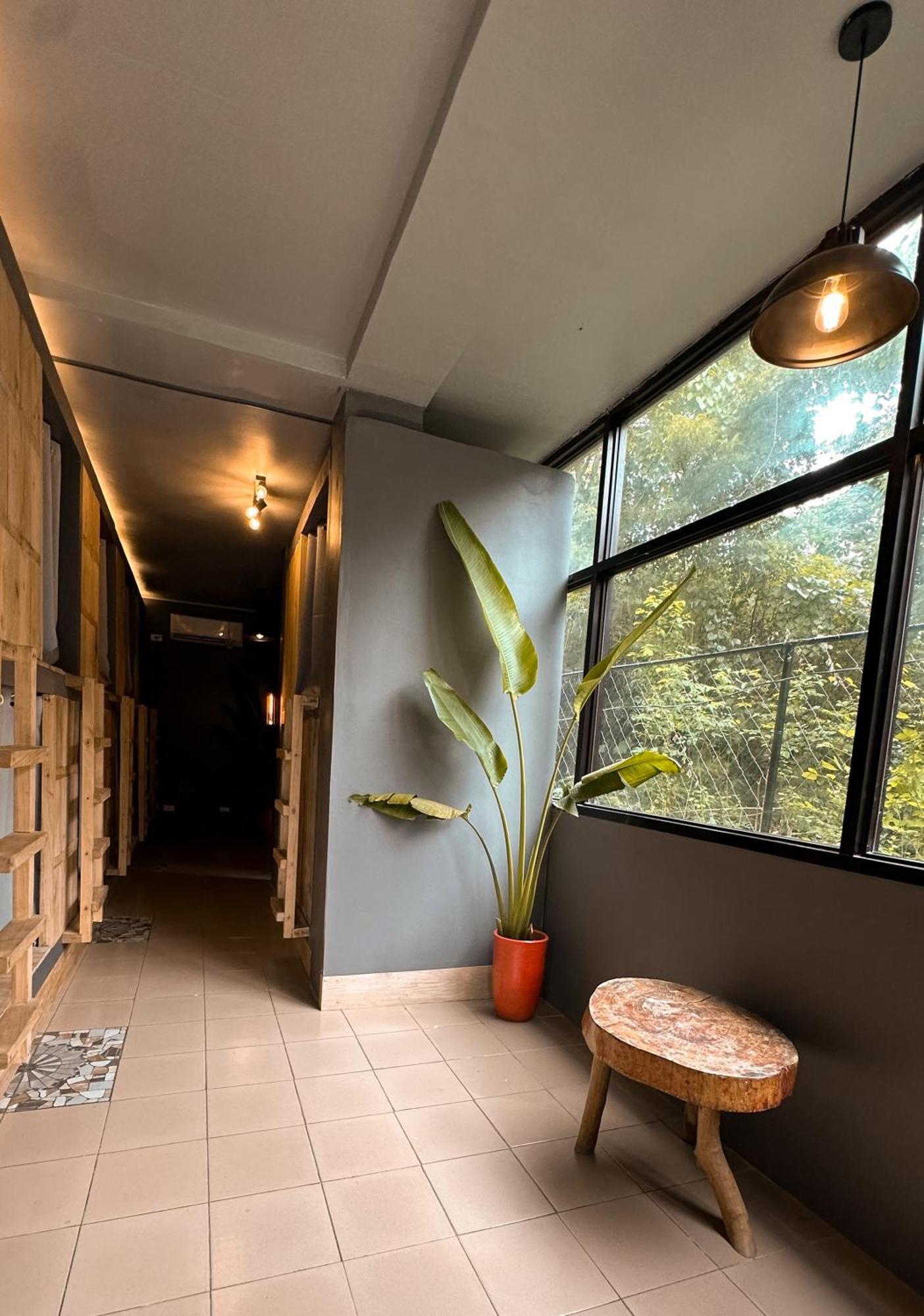 Resting Rabbit Hostel Сікіхор Екстер'єр фото